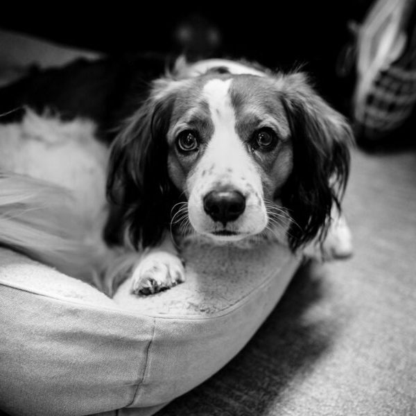 01_5196_klein-e1668513072639-qrapad4xrcp9rh9hxpky1doynhc6nqril26p0pkh9s Team 15