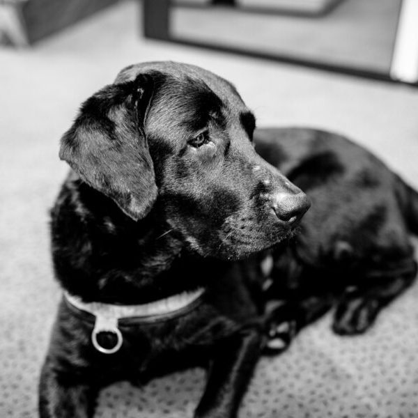 02_7368_klein-e1668513010337-qrap39gu4eza1jkven2f767l2occi2kixwqmhg3ka8 Team 14