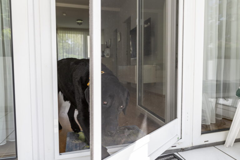 Neher 1 Pendeltüren von Franke & Borucki