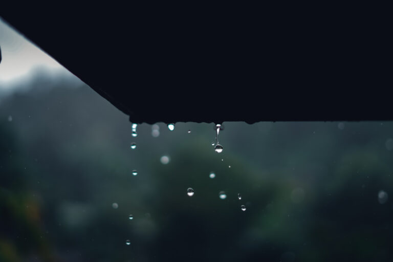 Rainwater drips from the roof Designmarkisen von Markilux 6 Sichtschutz